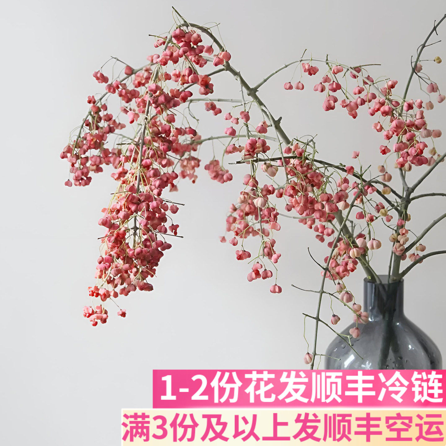白杜果鲜切枝真花客厅氛围感插花