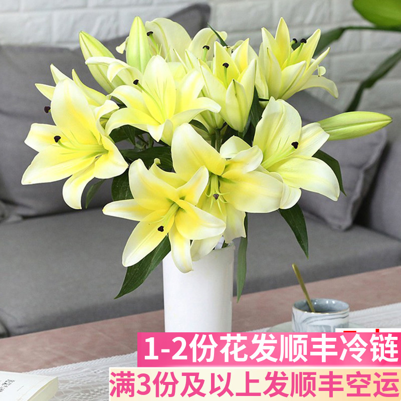 黄天霸百合花鲜花新鲜双头云南基地直发带花苞香水斗南黄色黄霸天