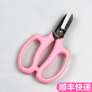 剪刀鲜花基地直发插花市场斗南花市云南昆明水养花束家用修枝剪钳