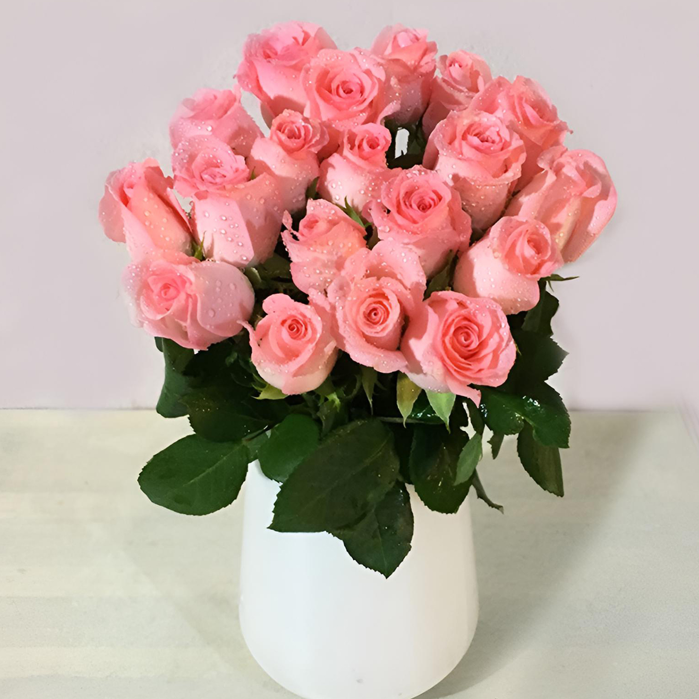 粉玫瑰戴安娜鲜花基地直发