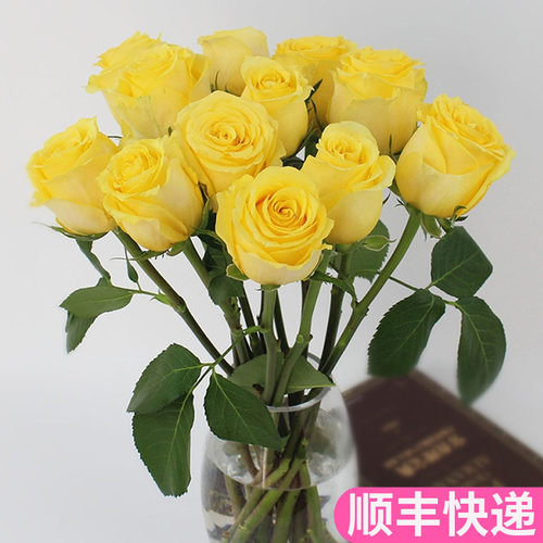 a级黄玫瑰花卉市场斗南
