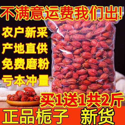 正品野生栀子1000g山栀子茶红栀子果黄栀子粉中药材枝子食用上色