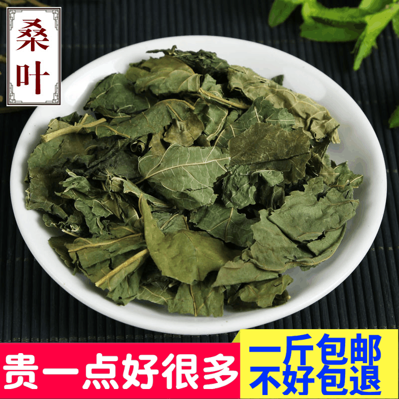 包邮2015年经霜打霜降桑树叶