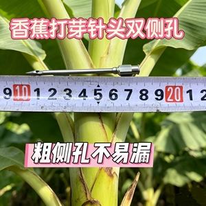 香蕉粉蕉除芽打芽专用针头粗侧开孔不锈钢针头双侧孔不易堵针头