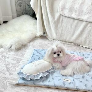 秒！宝丽珍可定制宠物地垫猫咪垫子睡垫四季通用纯棉狗垫子可拆洗
