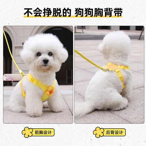 胸背带牵引绳遛狗绳宠物狗狗新款中小型犬多巴胺胸背背心式