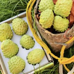 年货送礼当季现货攀枝花米易牛奶释迦凤梨释迦果新鲜番荔枝佛头果
