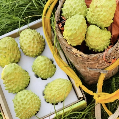 攀枝花米易凤梨释迦果米易释迦果