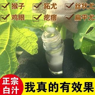 新鲜无花果汁液白汁乳液白浆纯汁原浆乳液青皮无花果茎枝叶汁扁平