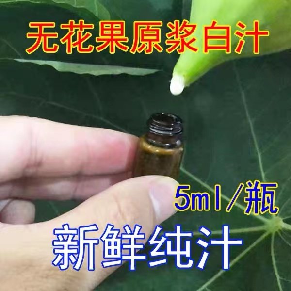 新鲜无花果汁液白汁乳液青皮无花果白浆纯汁原浆乳液青皮无花果茎,水产肉类/新鲜蔬果/熟食,无花果,淘宝优惠券,粉丝福利购,淘宝优惠卷