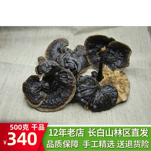 500 граммов подлинной дикой черной ганодермы, Блэкжи Зижи Зижи Ганодерма
