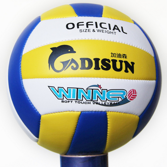Ballon de volley - Ref 2010506 Image 1