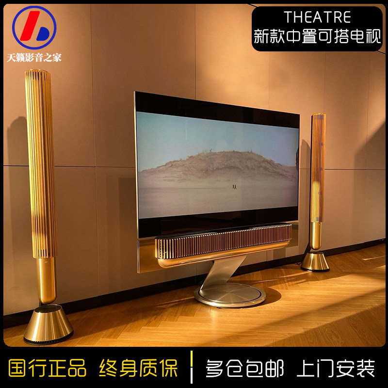 B&O中置功放环绕音响电视