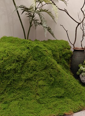 仿真草坪造景装饰植绒青苔草皮