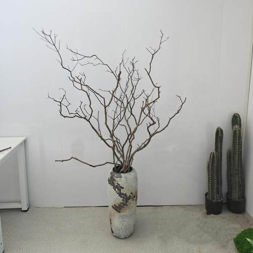 造景禅意装饰摆件客厅枯枝干树枝