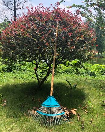 包邮热卖台湾靓傢伙草耙22齿木柄搂草叶耙落叶枯枝叶花园清理工具