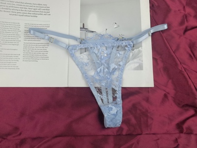 网纱透视丁字裤 欧美法式性感刺绣T裤 外贸少女丁裤