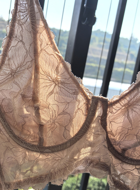 六排扣75-85C 欧美蕾丝提花性感文胸 法式大胸显小外贸内衣水晶杯