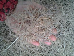 三七根须 云南文山特产 三七须根四年田七毛根须500g全国包邮