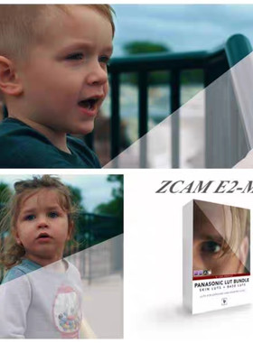 ZCAM E2-M4 电影风格Lut包