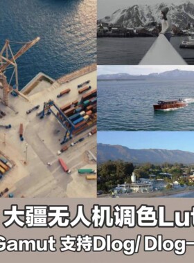 Gamut 大疆DJI DLOG\DLOG M Air3和Mavic3 还原LUT+31款风格LUT