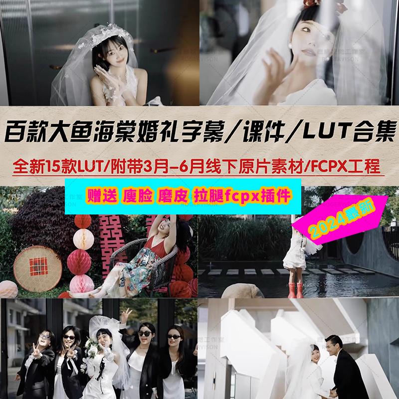大鱼海棠2024 婚礼跟拍 电影感胶片纪实LUT预设插件唯美 滤镜工程