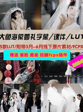 大鱼海棠2024 婚礼跟拍 电影感胶片纪实LUT预设插件唯美 滤镜工程