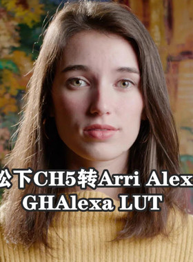 松下Lumix GH5转 Arri Alexa色彩，Emotive Color GHALEX LUT
