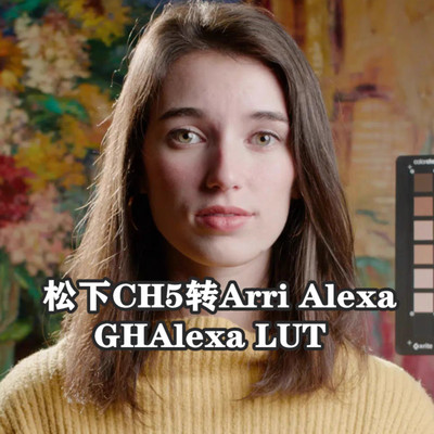 松下Lumix GH5转 Arri Alexa色彩，Emotive Color GHALEX LUT