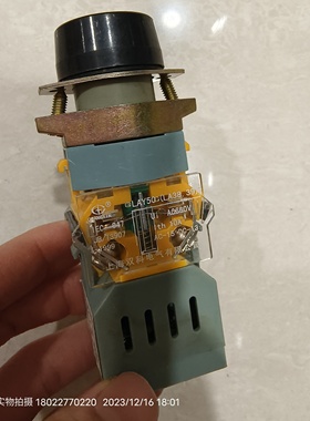 上海双科红色带灯自锁按钮LAY50-11DTR 1a1b AC220V