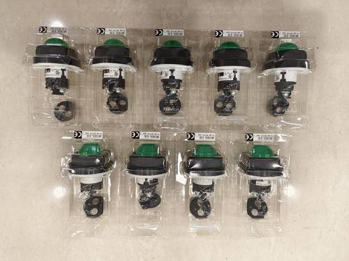 Japan日本产富士FUJI绿色指示灯DR30D0L-E3G 30MM 30V