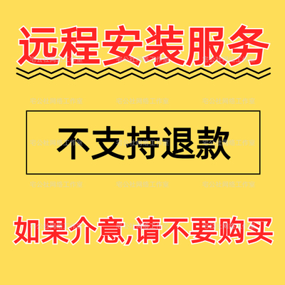 远程安装服务（不支持退款，介意勿拍）