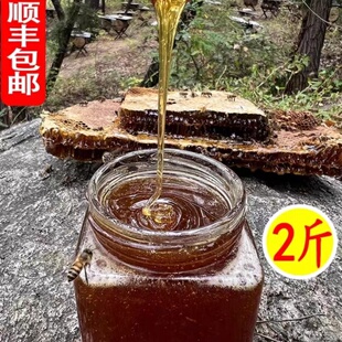 土蜂蜜原味大别山原产蜂蜜信阳新县特产野蜂蜜百花蜜纯正蜂蜜500g