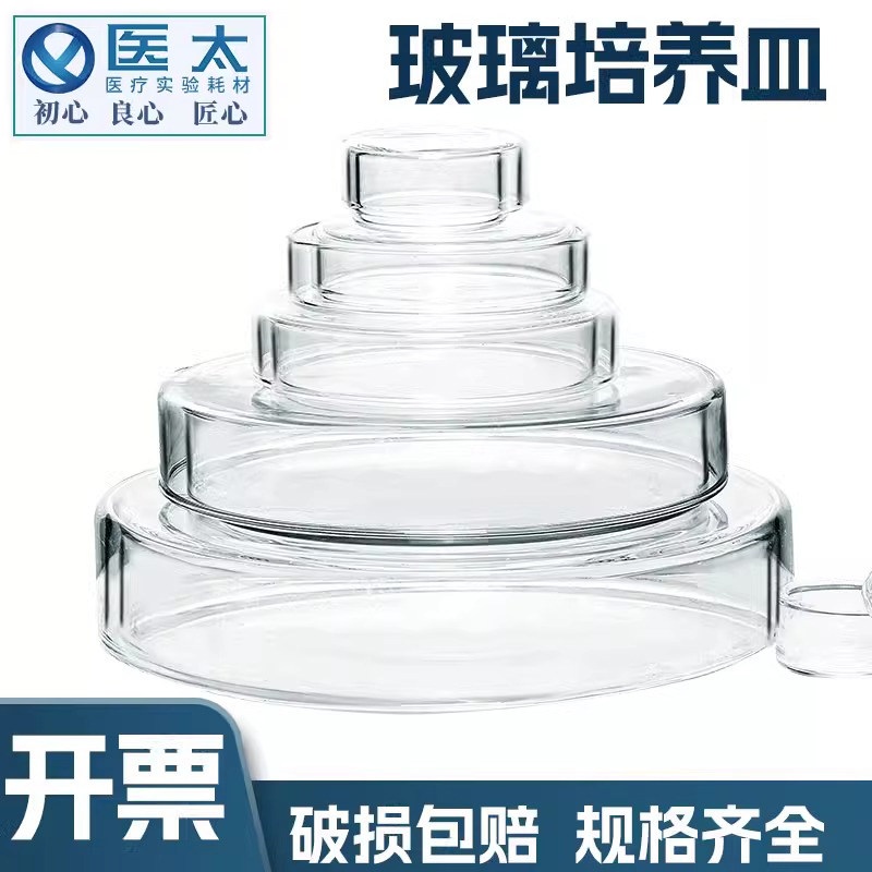 玻璃培养皿高硼硅细菌细胞