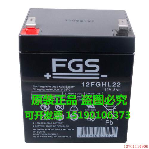 FGS蓄电池12FGHL22/12V5AH(丹麦) 阀控式铅酸免维护电瓶