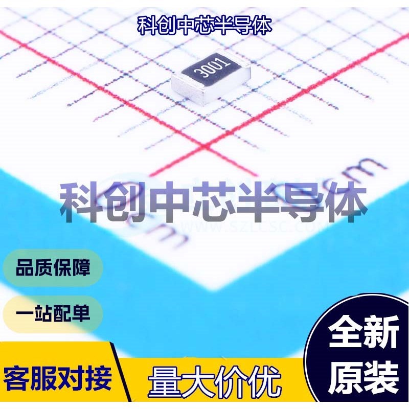 100个 RS-05K3001FT 贴片电阻 0805 厚膜电阻 3kΩ ±1% 125mW 全