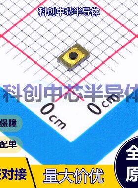 10个 TS2030E16055 轻触开关 SMD,3.1x2.1mm     全新原装
