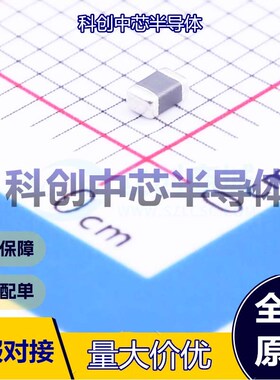 10个 BLM21BD102SN1D 磁珠 0805 1kΩ@100MHz ±25% 400mΩ 250mA