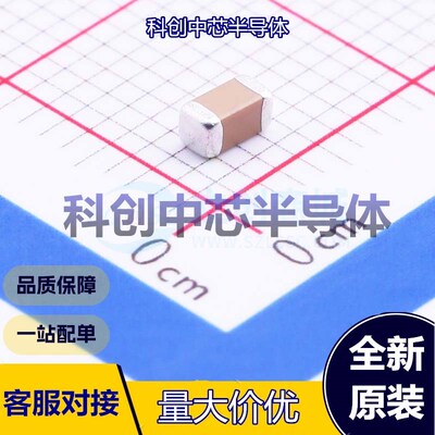 50个 FM31X104K251EEG 贴片电容(MLCC) 1206 100nF ±10% 250V X7