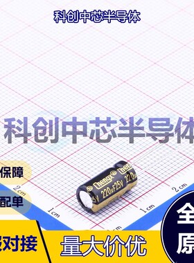 20个 GR227M025E12RR0VH4FP0 直插铝电解电容 插件,D6.3xL12mm 22