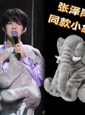 江浙沪包邮！宜家正品雅特斯托毛绒玩具象张泽禹同款大象玩偶抱枕