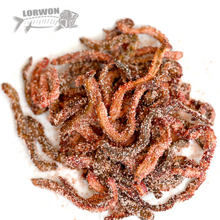 腌渍红沙蚕海鱼钓饵腌制海钓海蚯蚓海蜈蚣便携易储 不支持退货