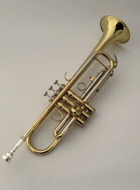 小号乐器TR-650金色降B调小号乐器进口乐器专业款三色小号