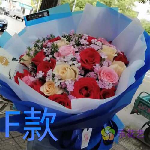 生日情人粉玫瑰河北廊坊花店送花固安县永清县香河县同城鲜花快递