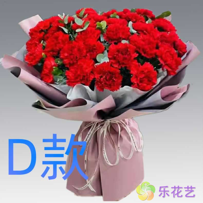 生日祝寿康乃馨新疆阿勒泰花店送花福海哈巴河青河县同城鲜花快递