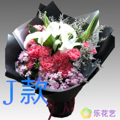 生日探望康乃馨陕西商洛花店送花商州市洛南县丹凤县同城鲜花速递