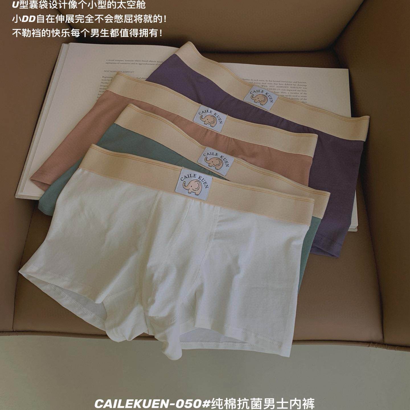 050#纯棉商务内裤纯棉抗菌平角裤青少年男式四角裤男生短裤头男款