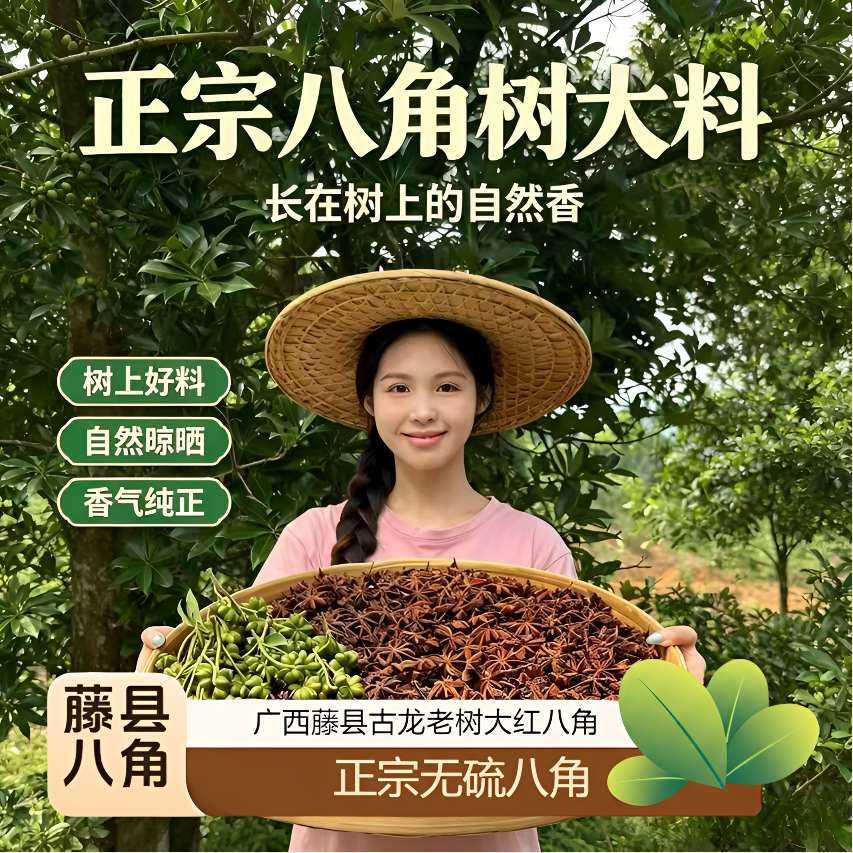广西正宗藤县古龙八角大料干货无硫五香调料去腥增香厨房调味香料