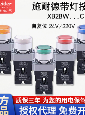 施耐德带灯按钮X2BW33B1C XB2BW34M2C 红黄绿白220V自复位24V金属