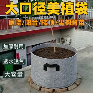 超大口径加厚无纺布种植袋植树育苗美植袋楼顶露台庭院苗圃栽种